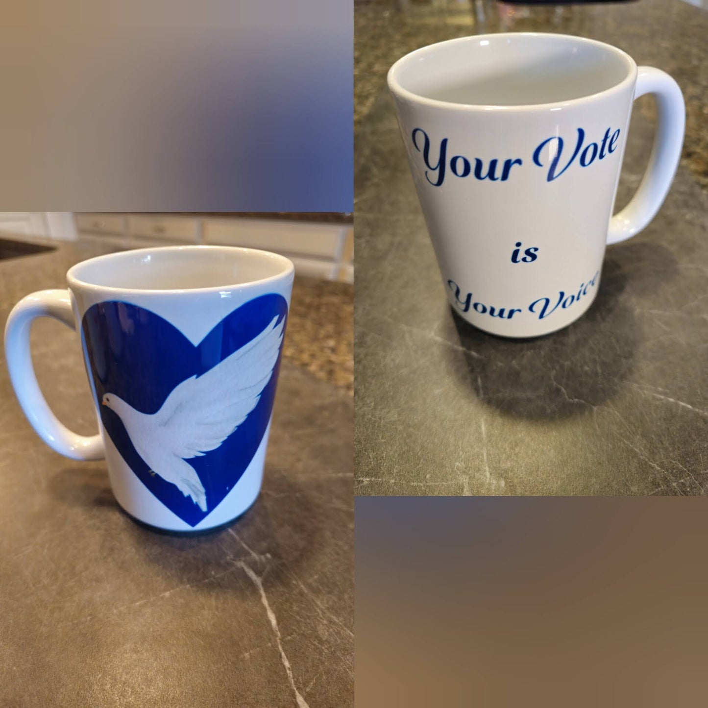 Your Vote is Your Voice - Blue and White